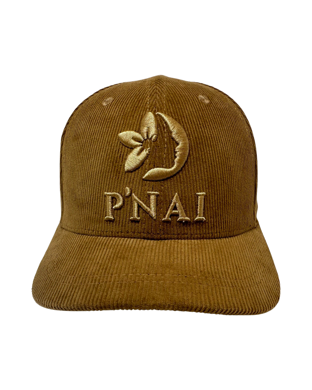 Paraluman Ballcap